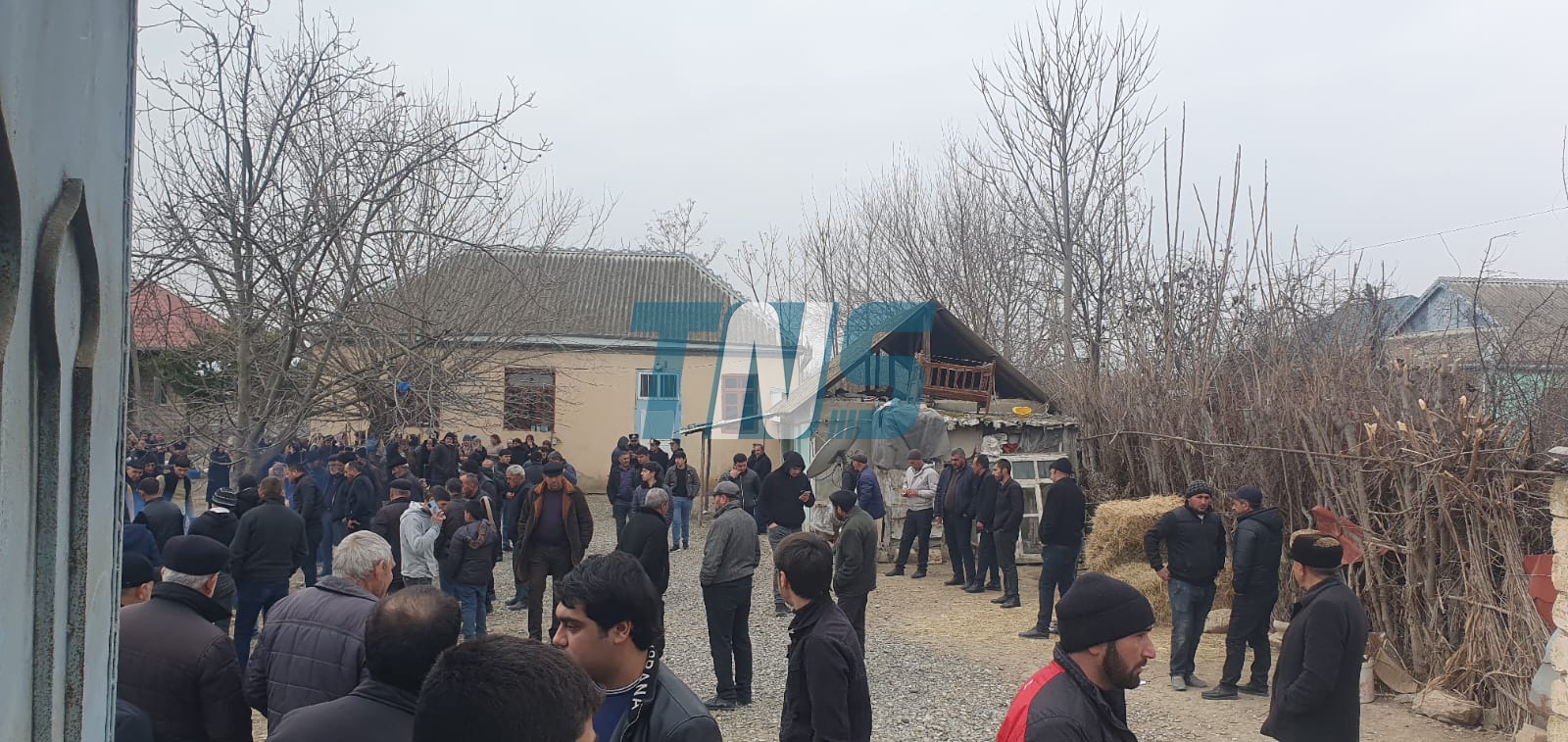 WhatsApp_Image_2025-01-31_at_13-28-49