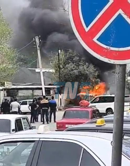 WhatsApp_Image_2025-04-08_at_15-00-27_1