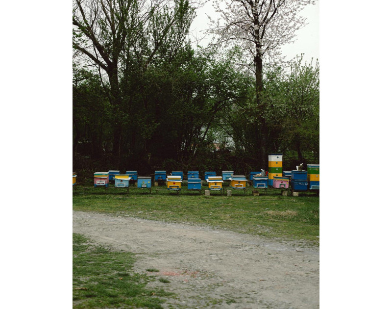 67f6ac12ac76e67f6ac12ac76f174421915467f6ac12ac76c67f6ac12ac76d