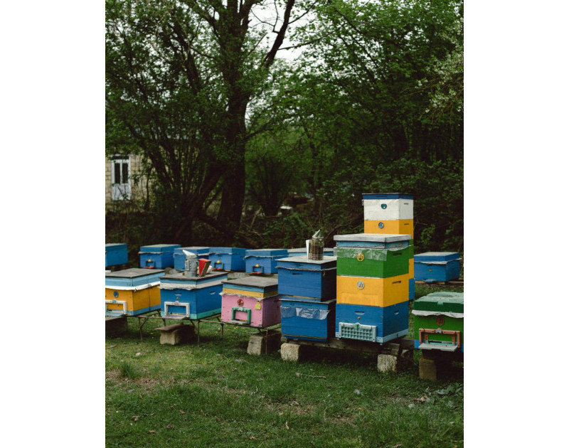 67f6ac12cfe3667f6ac12cfe37174421915467f6ac12cfe3367f6ac12cfe34