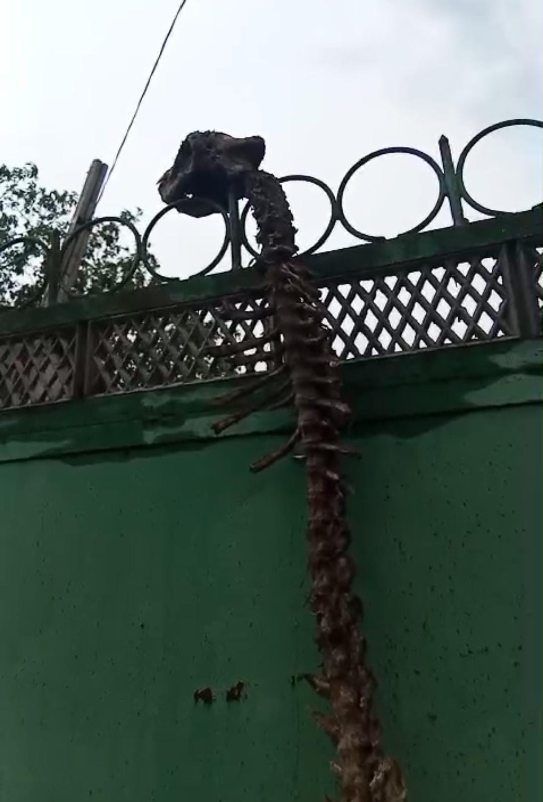 WhatsApp_Image_2025-05-07_at_07-10-08