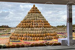 owl_detail_240_3a347f0e816b0c9b44be41bf20701c8e