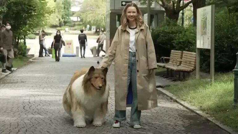 64c634be4e3fe11eb0e661e9